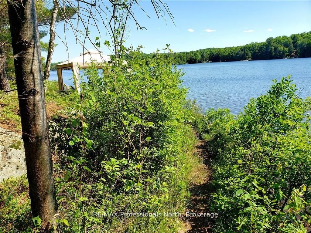 0 Bucktooth N/a Property Photo 28