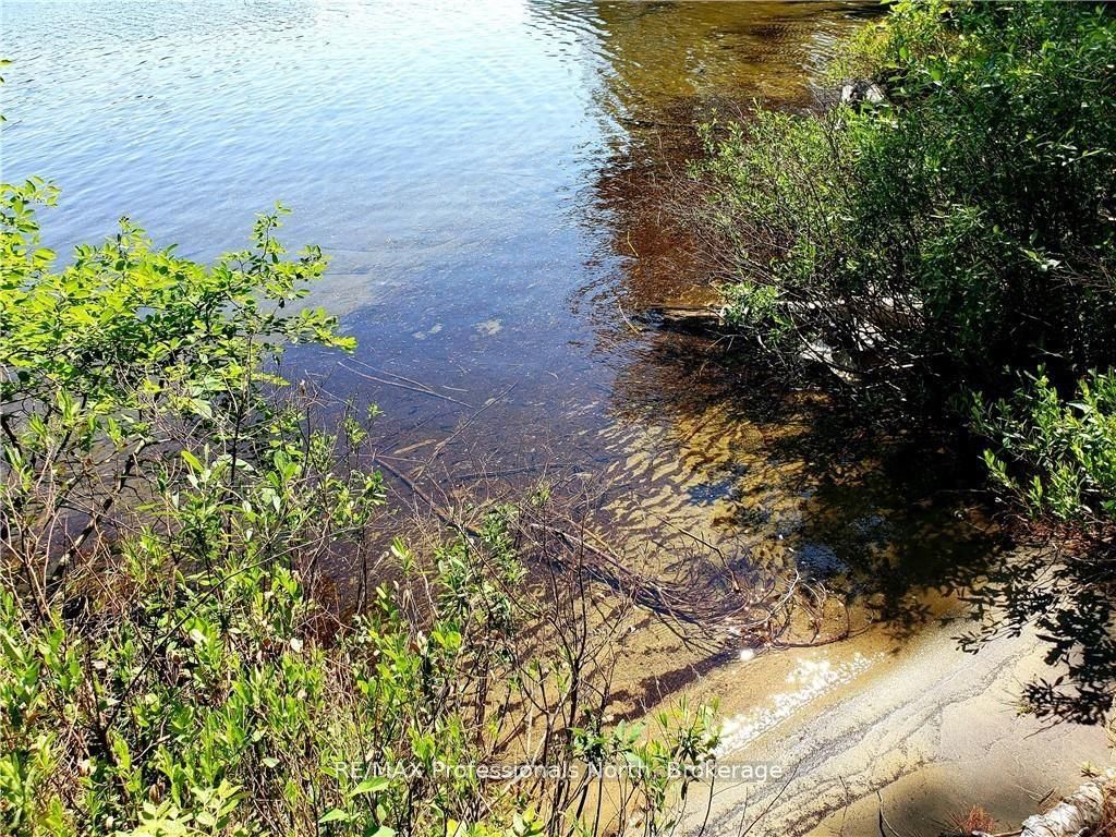 0 Bucktooth N/a Property Photo 29