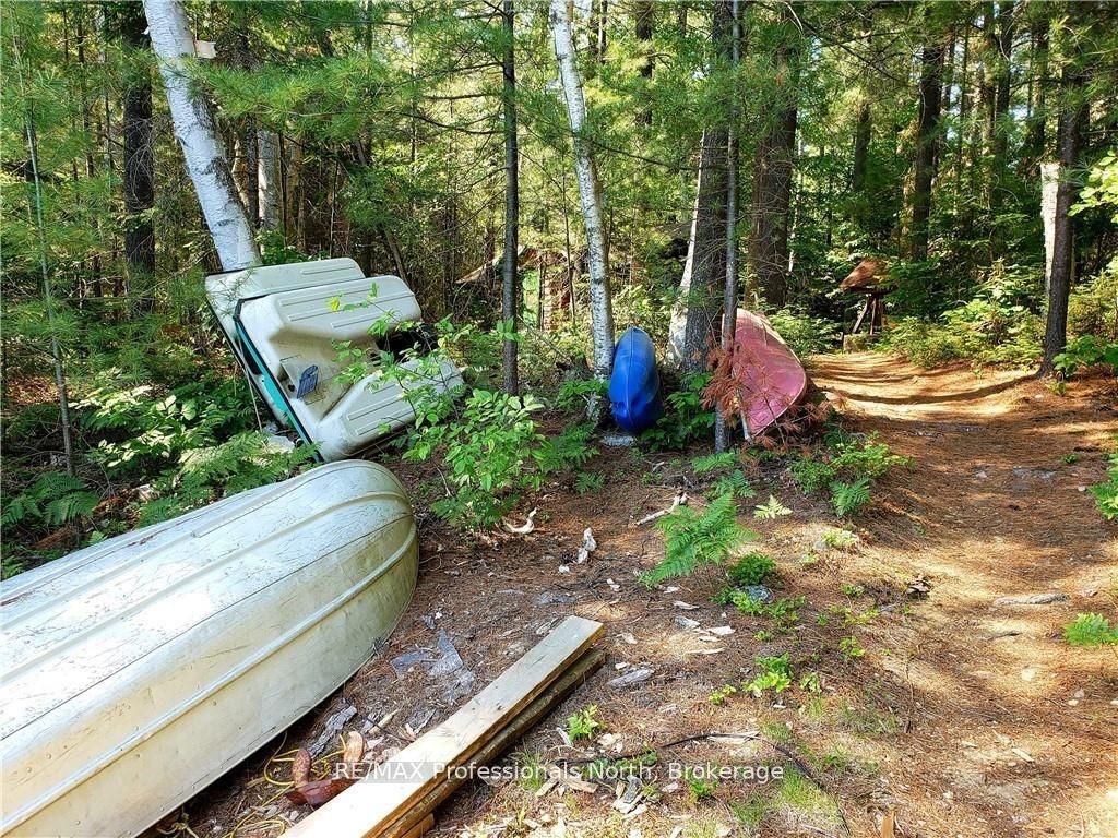 0 Bucktooth N/a Property Photo 30