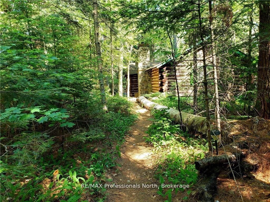 0 Bucktooth N/a Property Photo 32