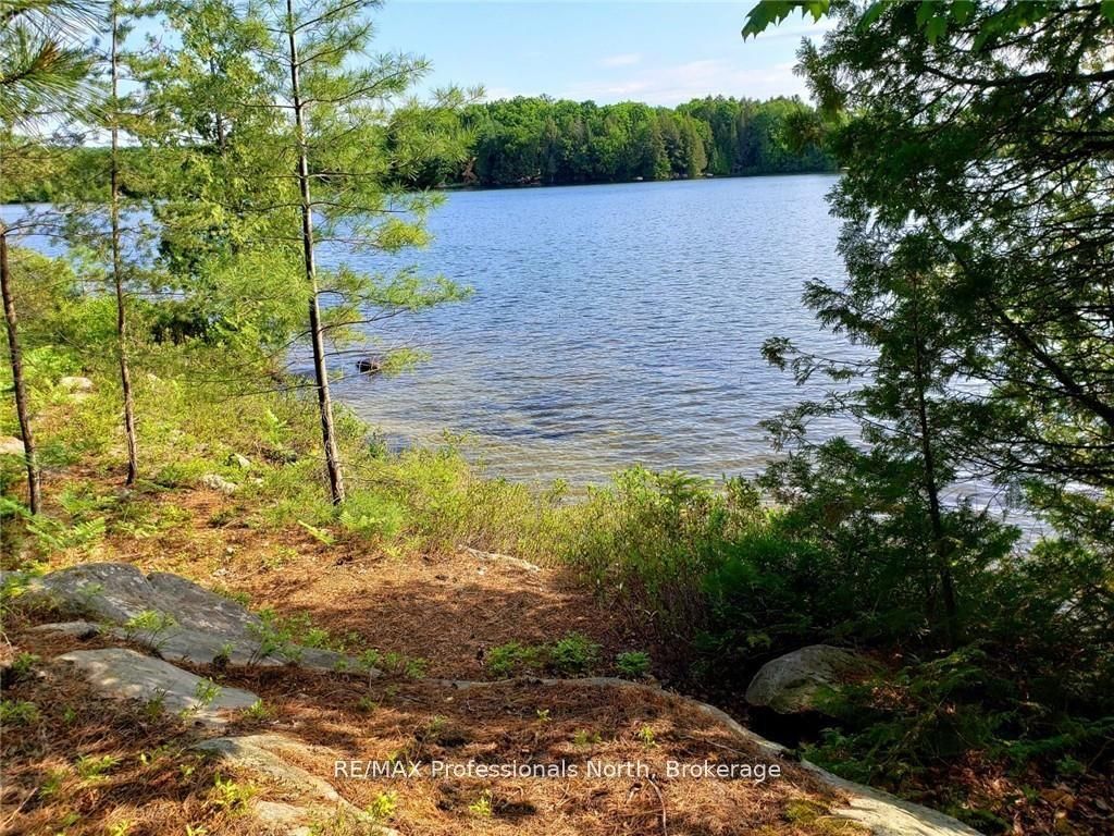 0 Bucktooth N/a Property Photo 39