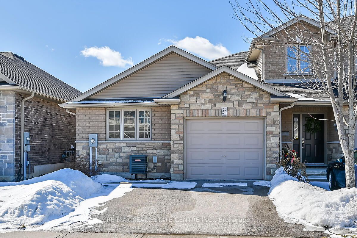 56 Banks Street Property Photo 2