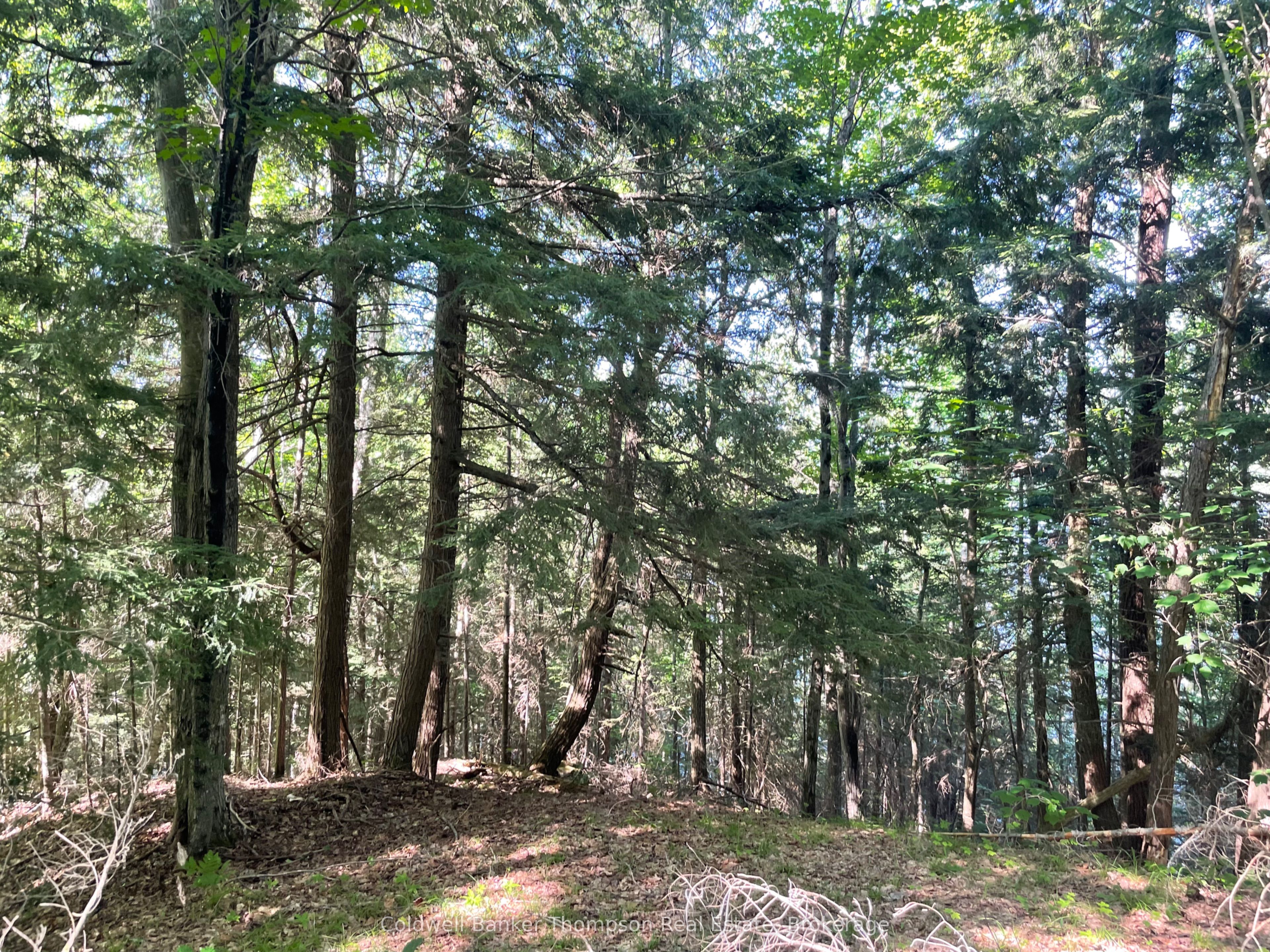 0 Hazard Hill #2 Road Property Photo 13