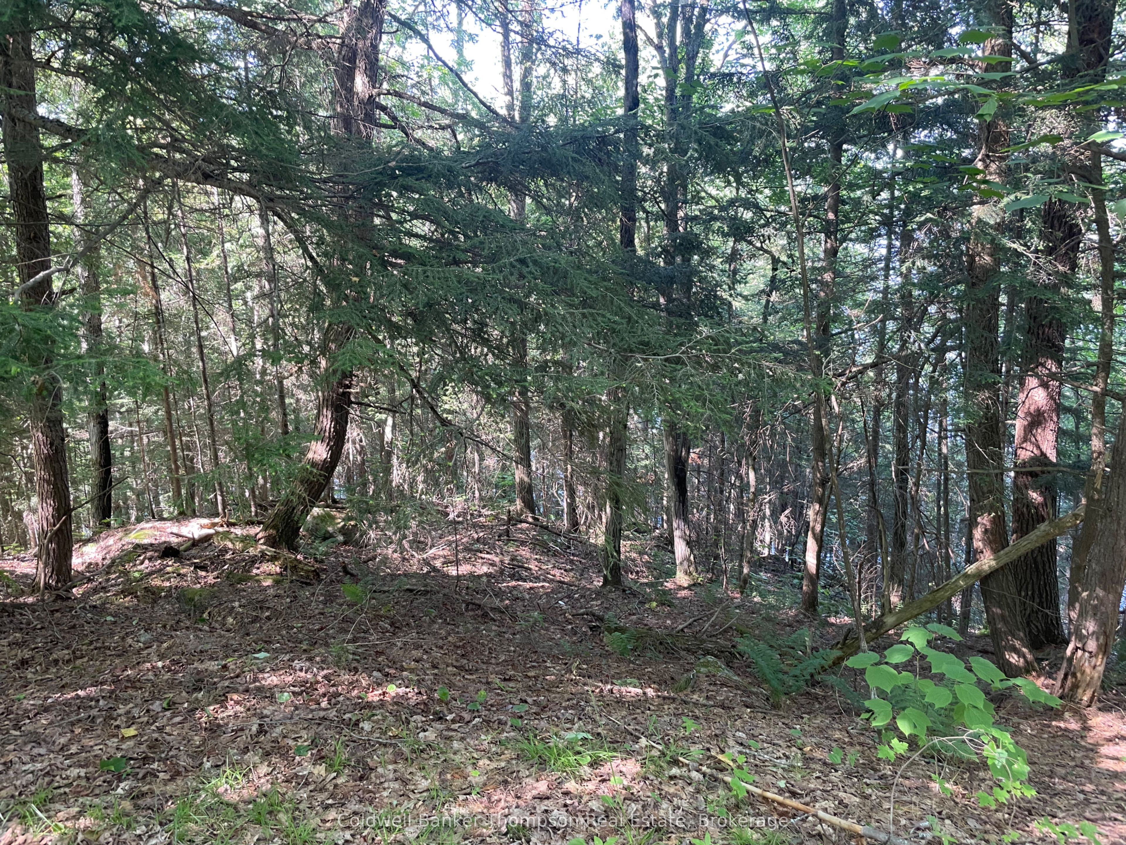 0 Hazard Hill #2 Road Property Photo 14