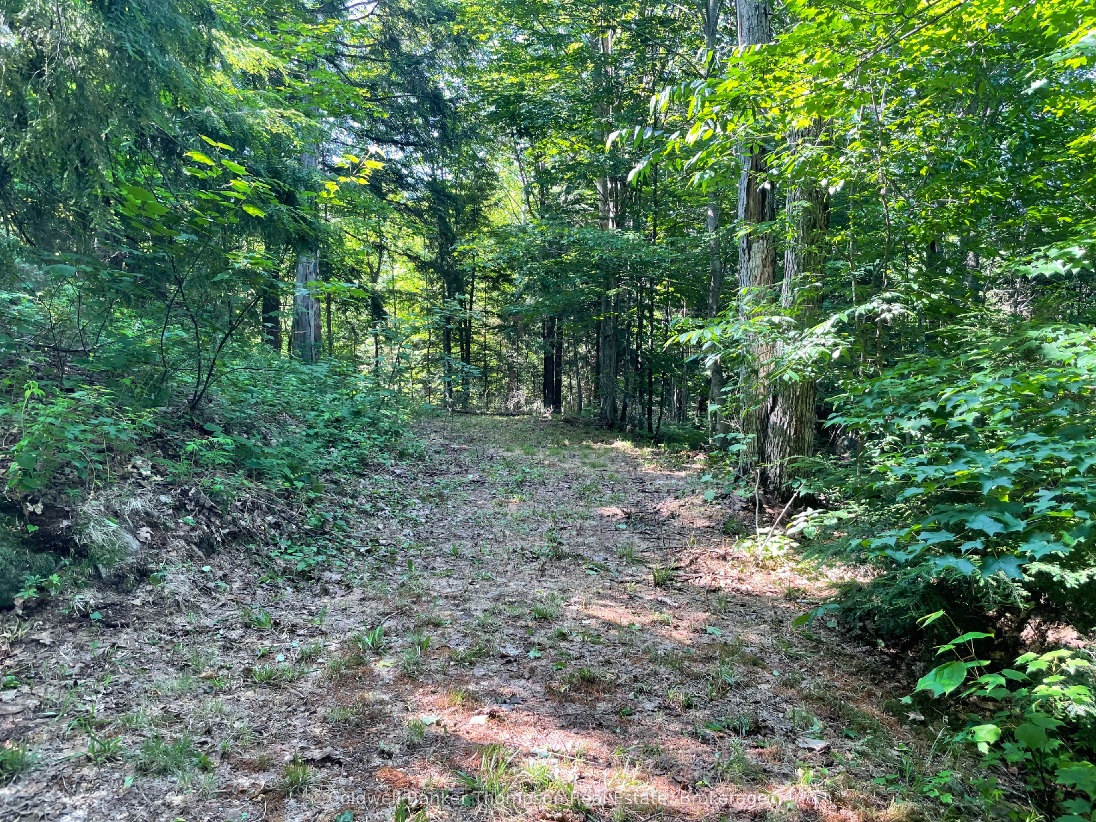 0 Hazard Hill #2 Road Property Photo 16