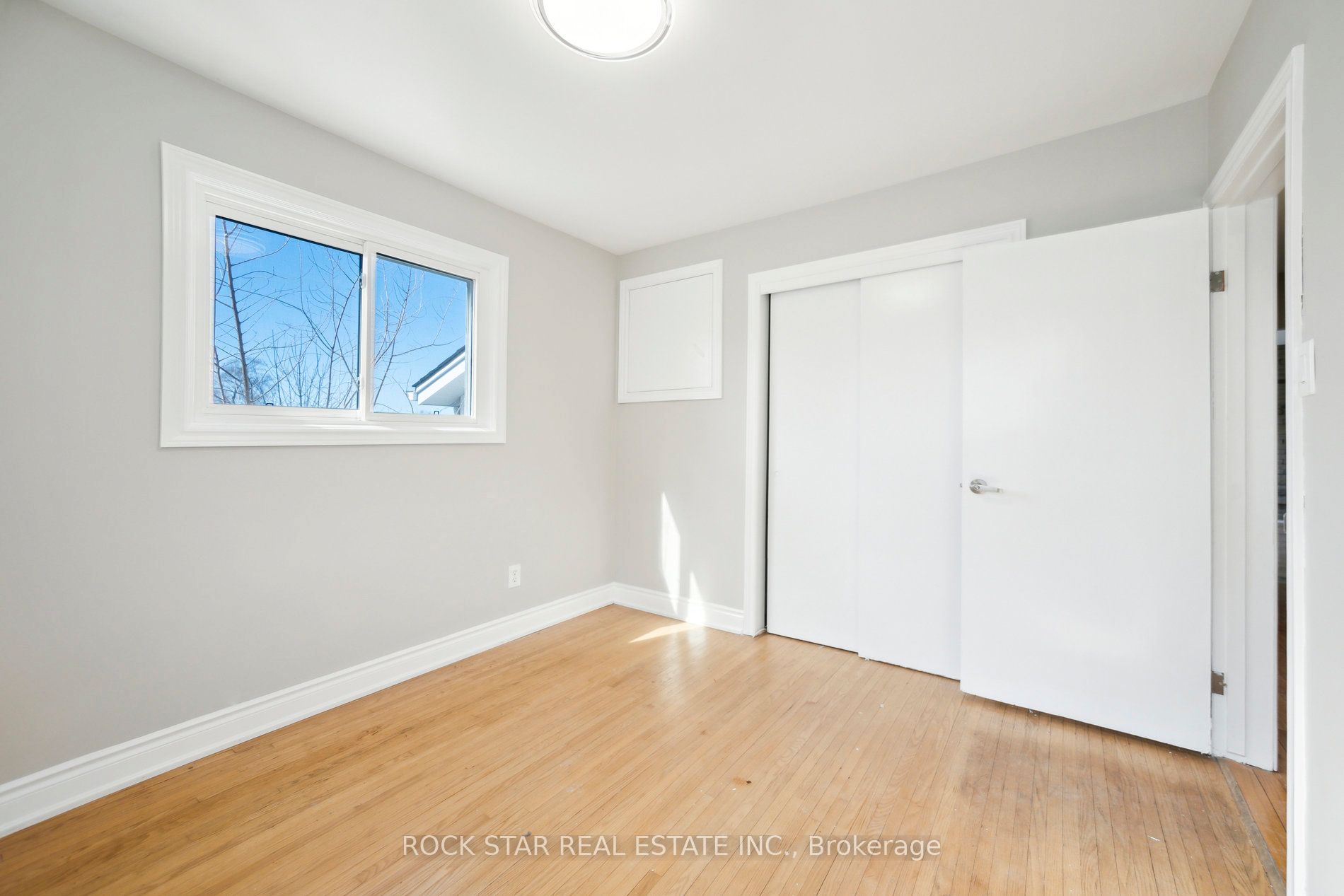 73 Bunting Road Property Photo 12