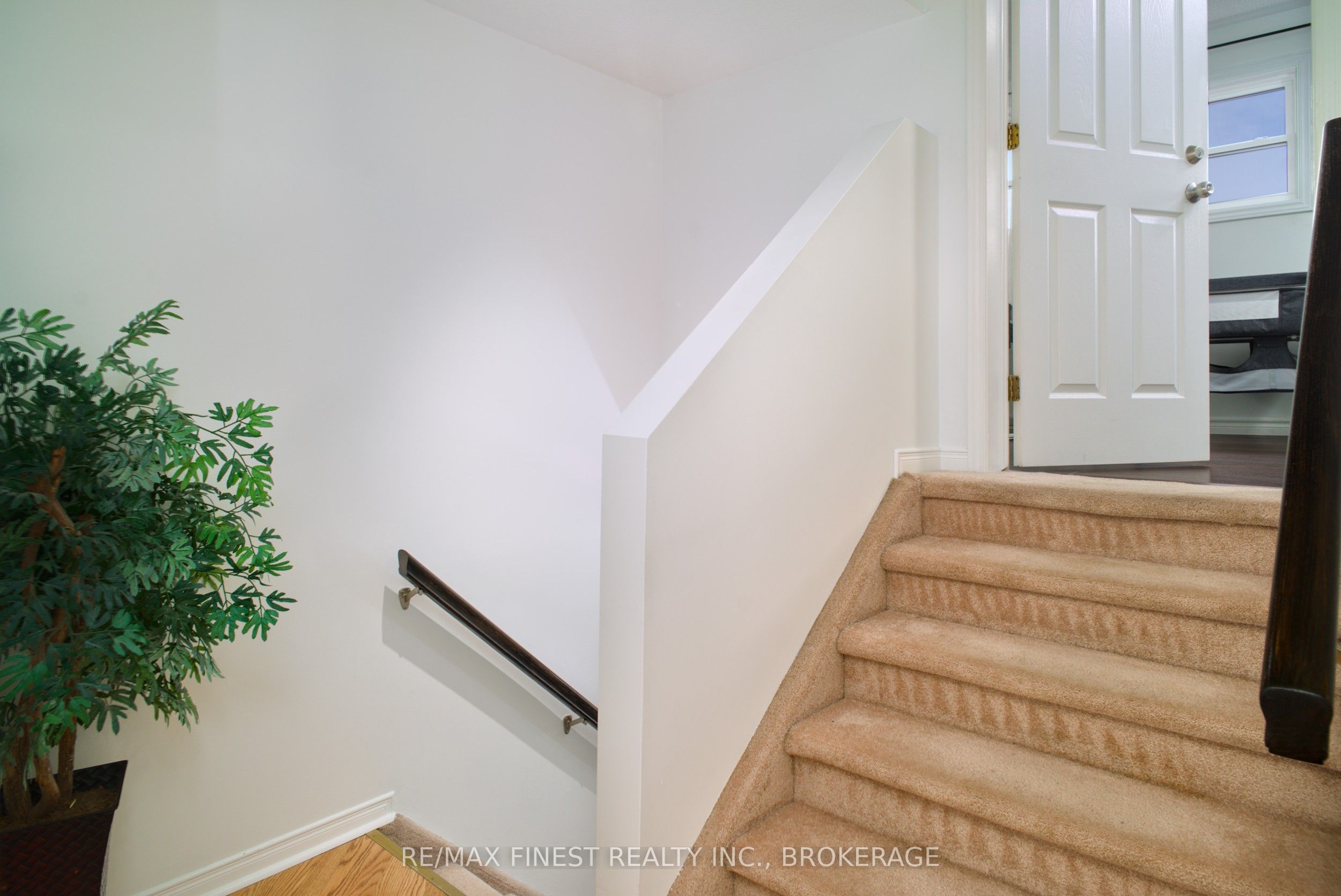 23 Ainsley Place Property Photo 10