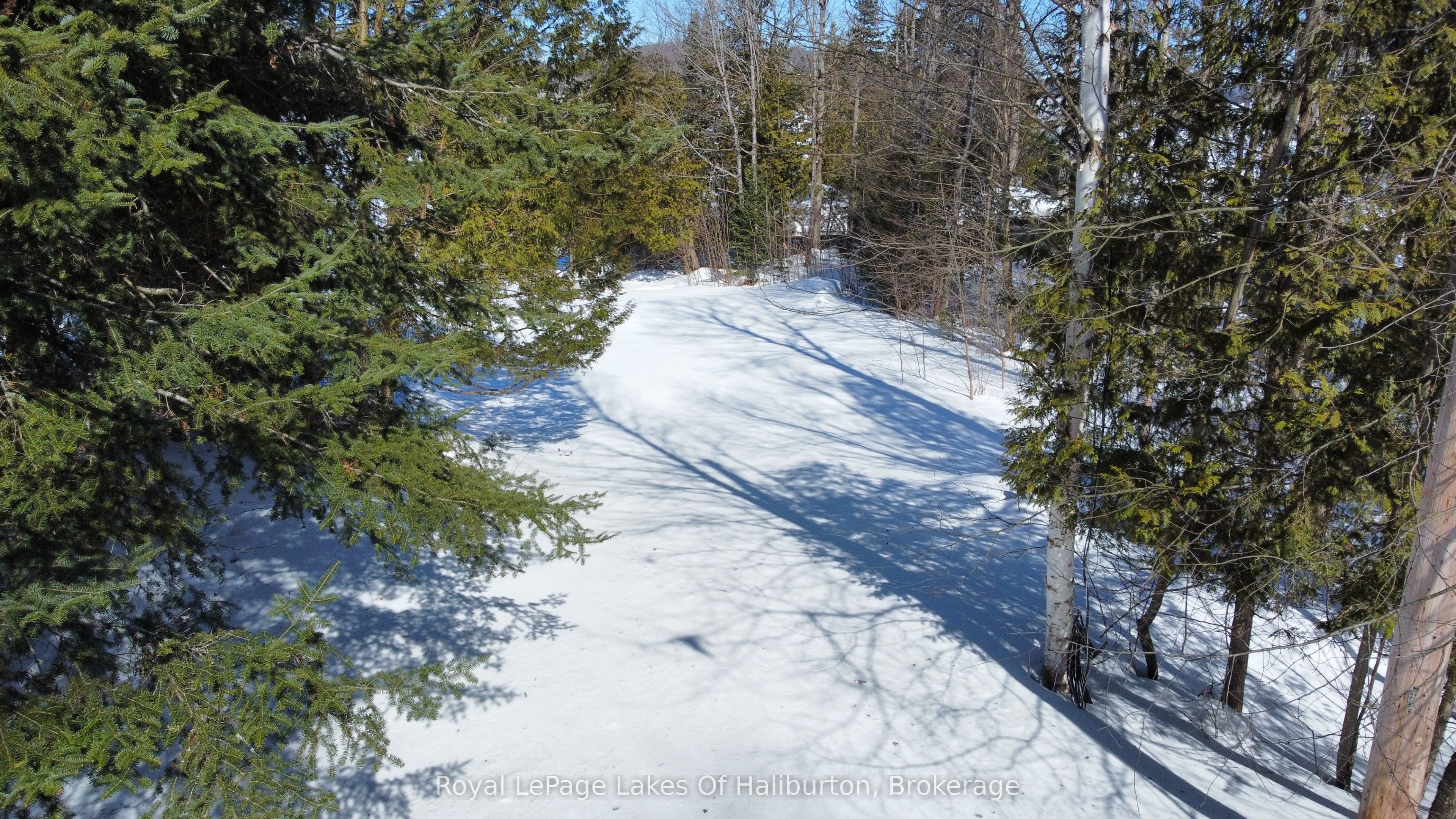 0 Kashagawigamog Lake Road Property Photo 4