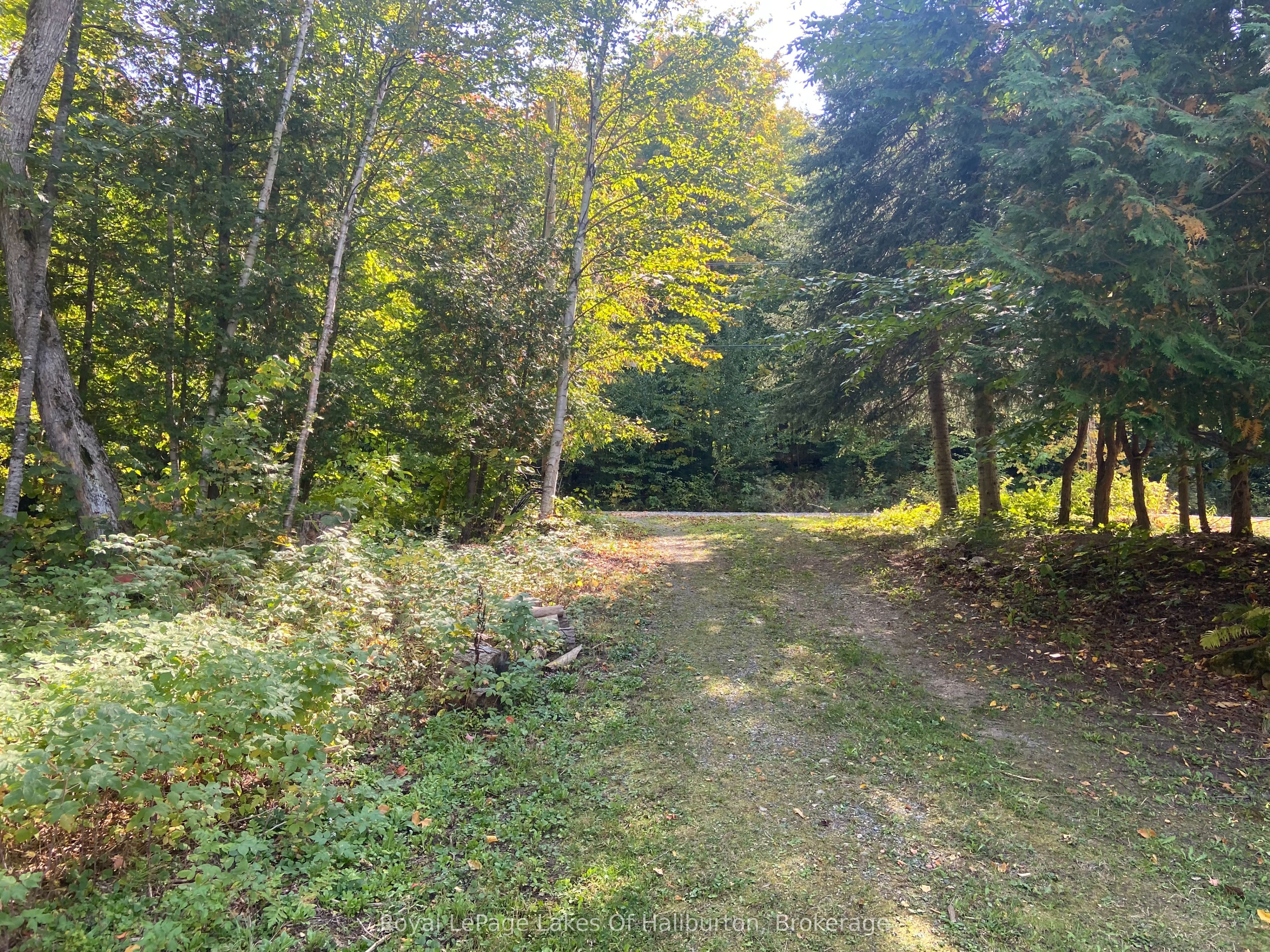 0 Kashagawigamog Lake Road Property Photo 8