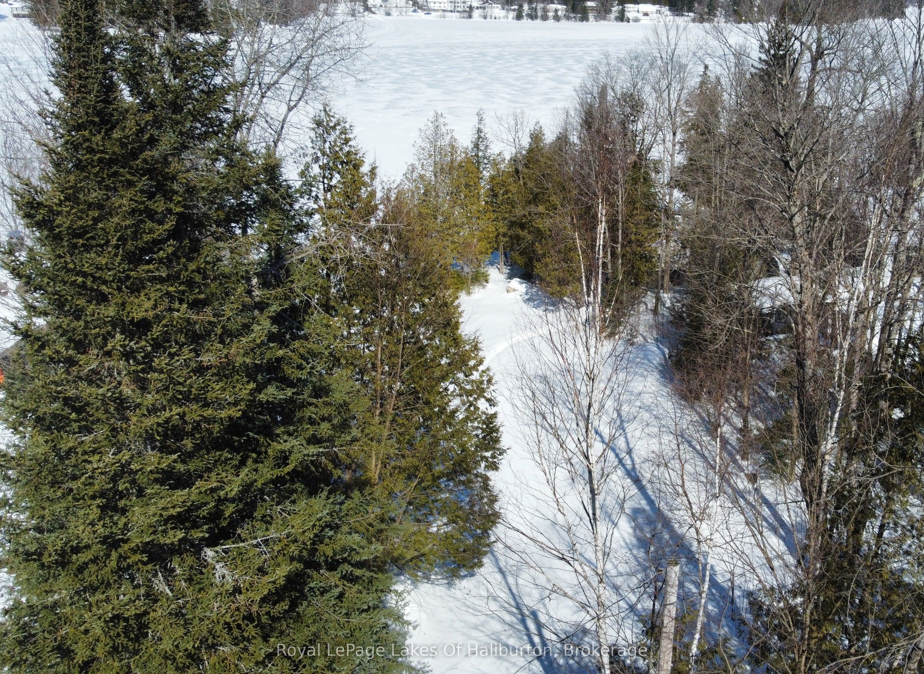 0 Kashagawigamog Lake Road Property Photo 9