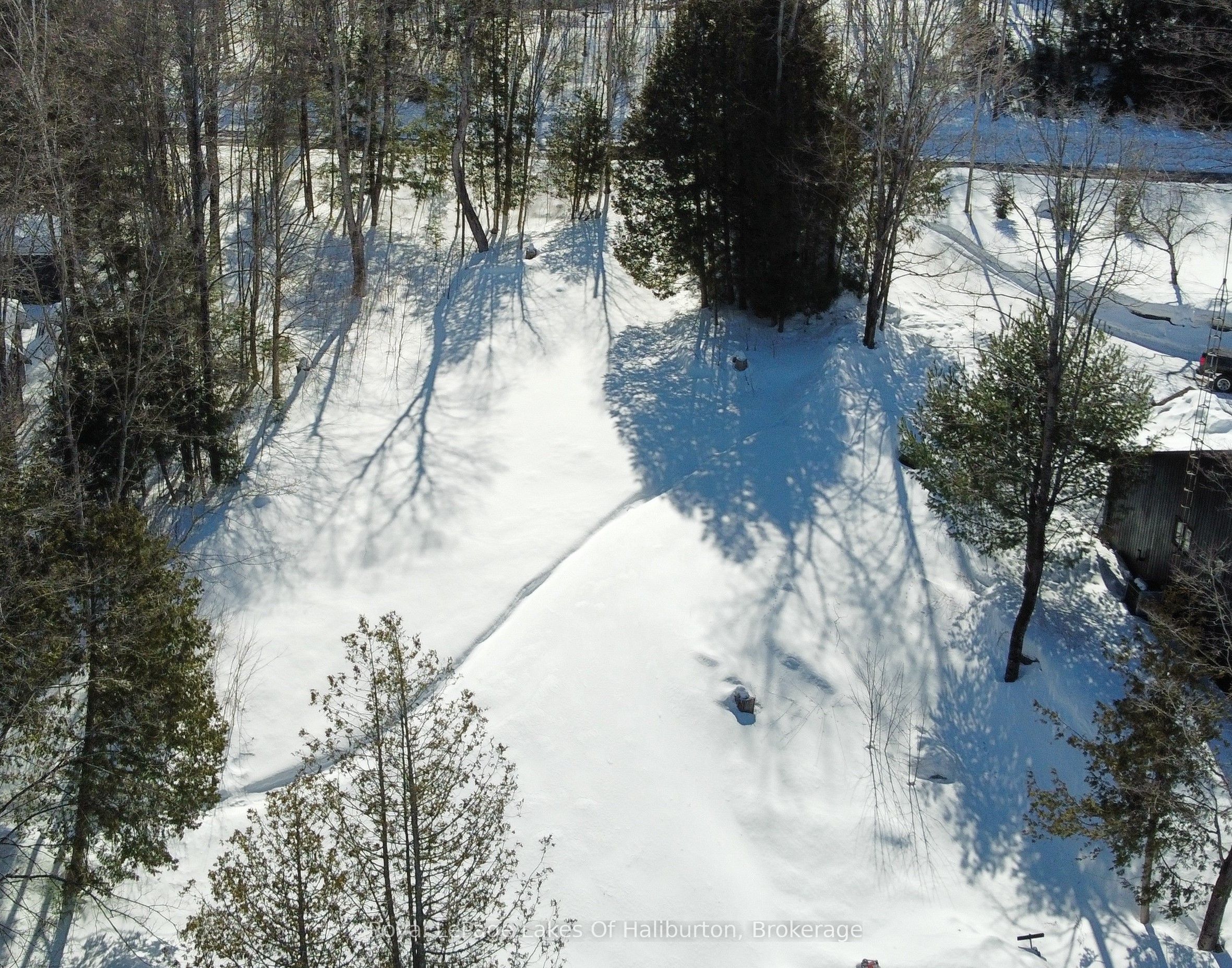 0 Kashagawigamog Lake Road Property Photo 10