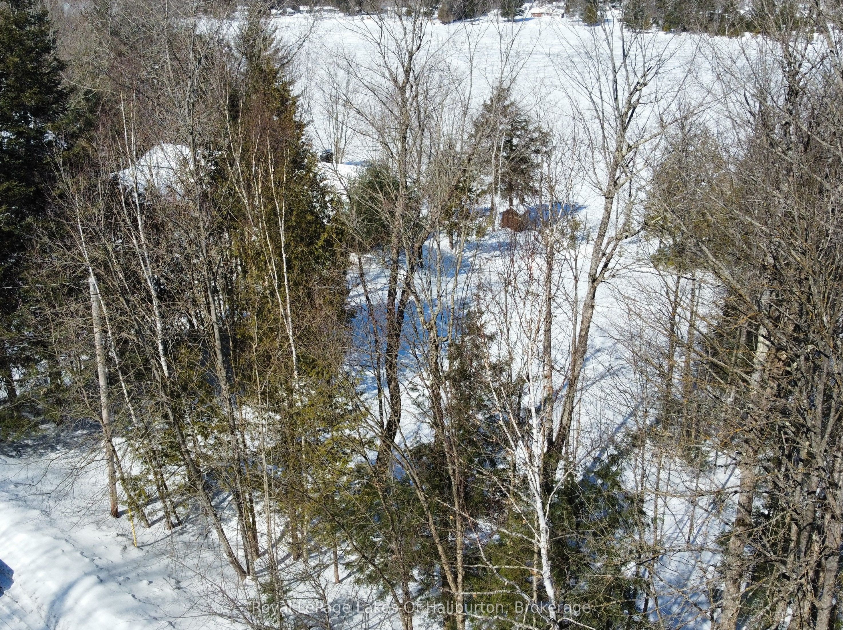 0 Kashagawigamog Lake Road Property Photo 11