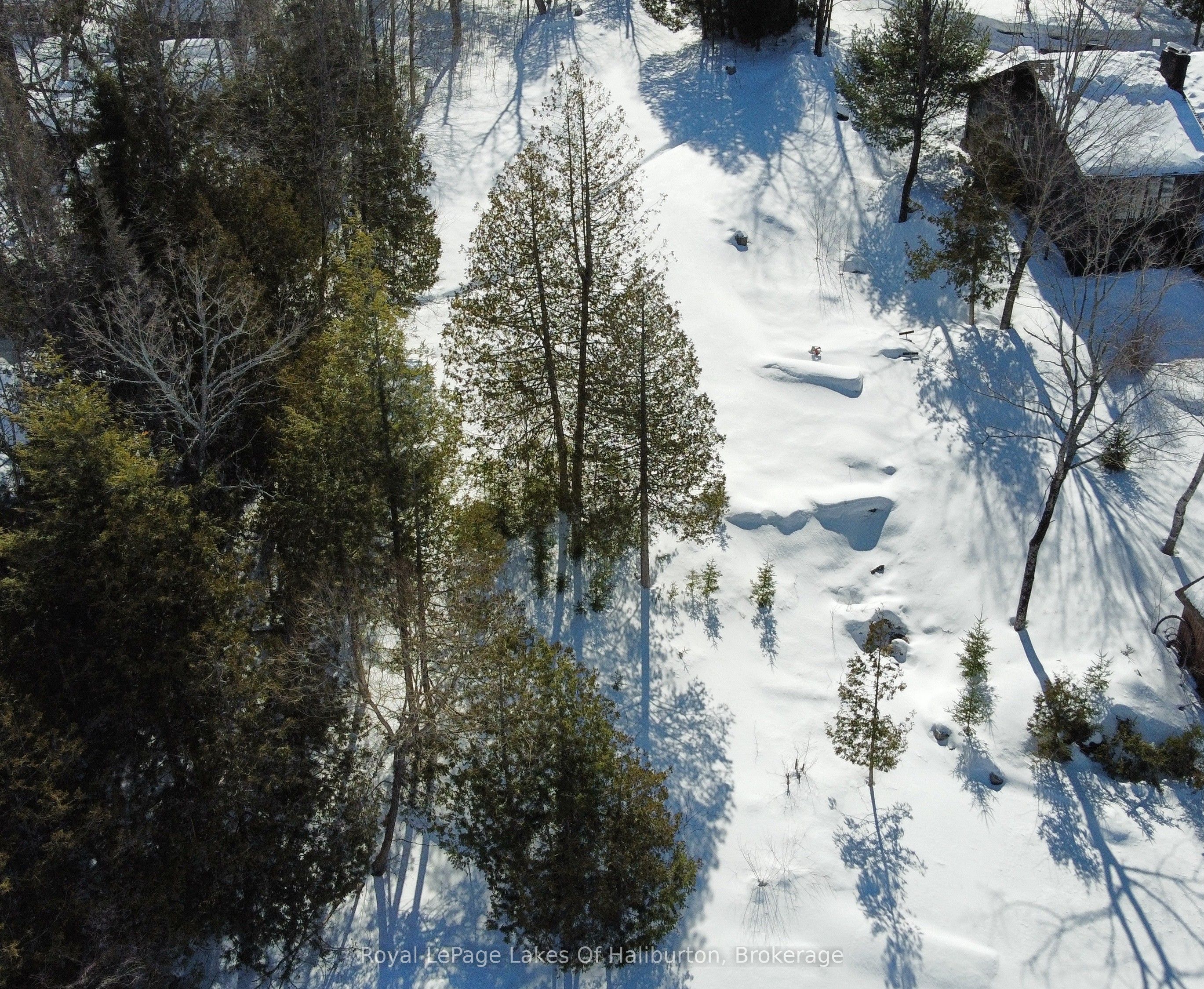 0 Kashagawigamog Lake Road Property Photo 14