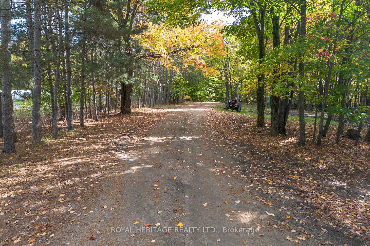 266 Mcfadden Line Property Photo 29