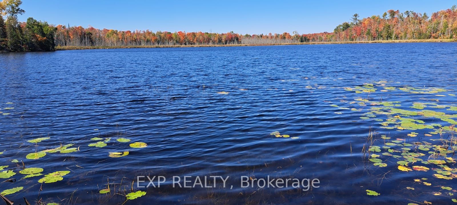 146 Thanet Lake Rd Property Photo