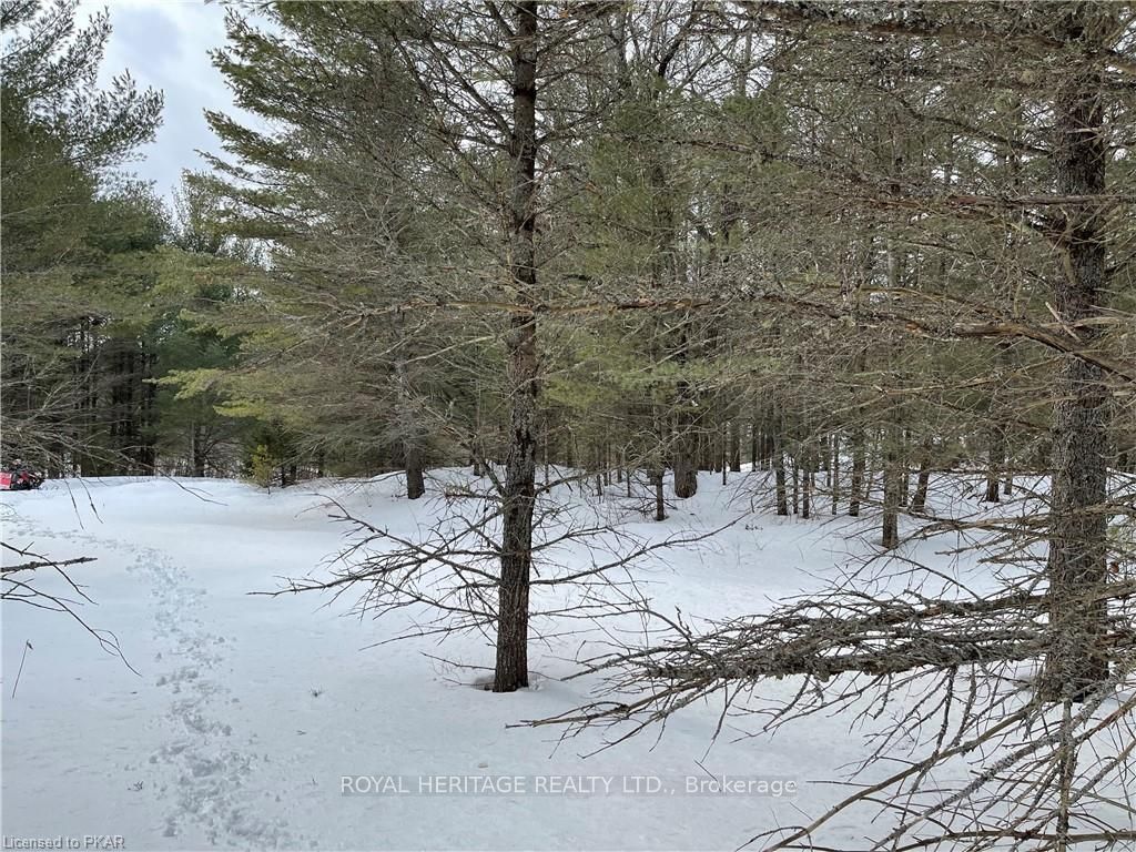 #lot 3 - N/a Hadlington Road Property Photo