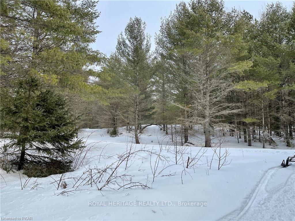 #lot 2 - N/a Hadlington Road Property Photo