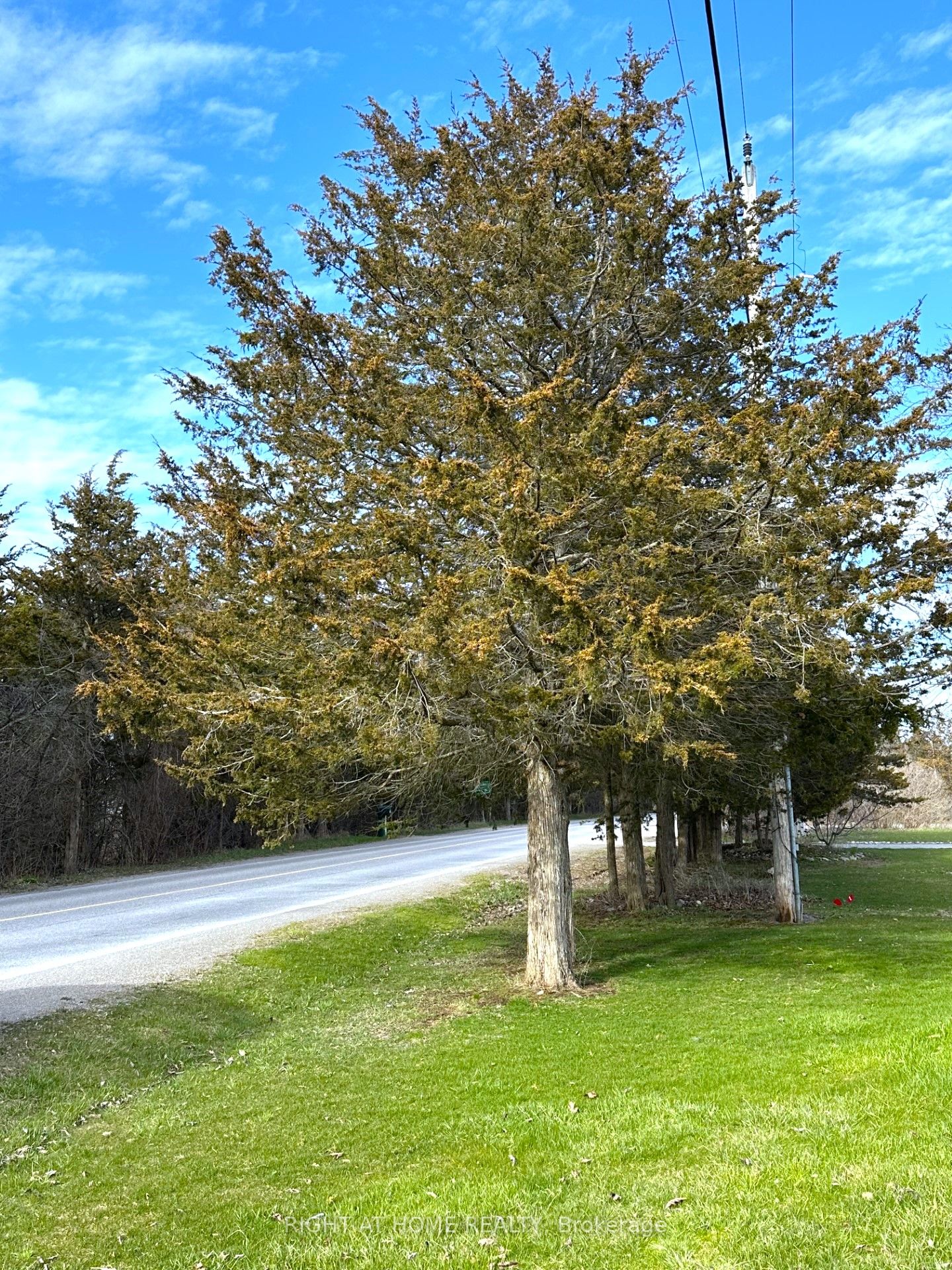 347 County Rd 19 Road Property Photo 34