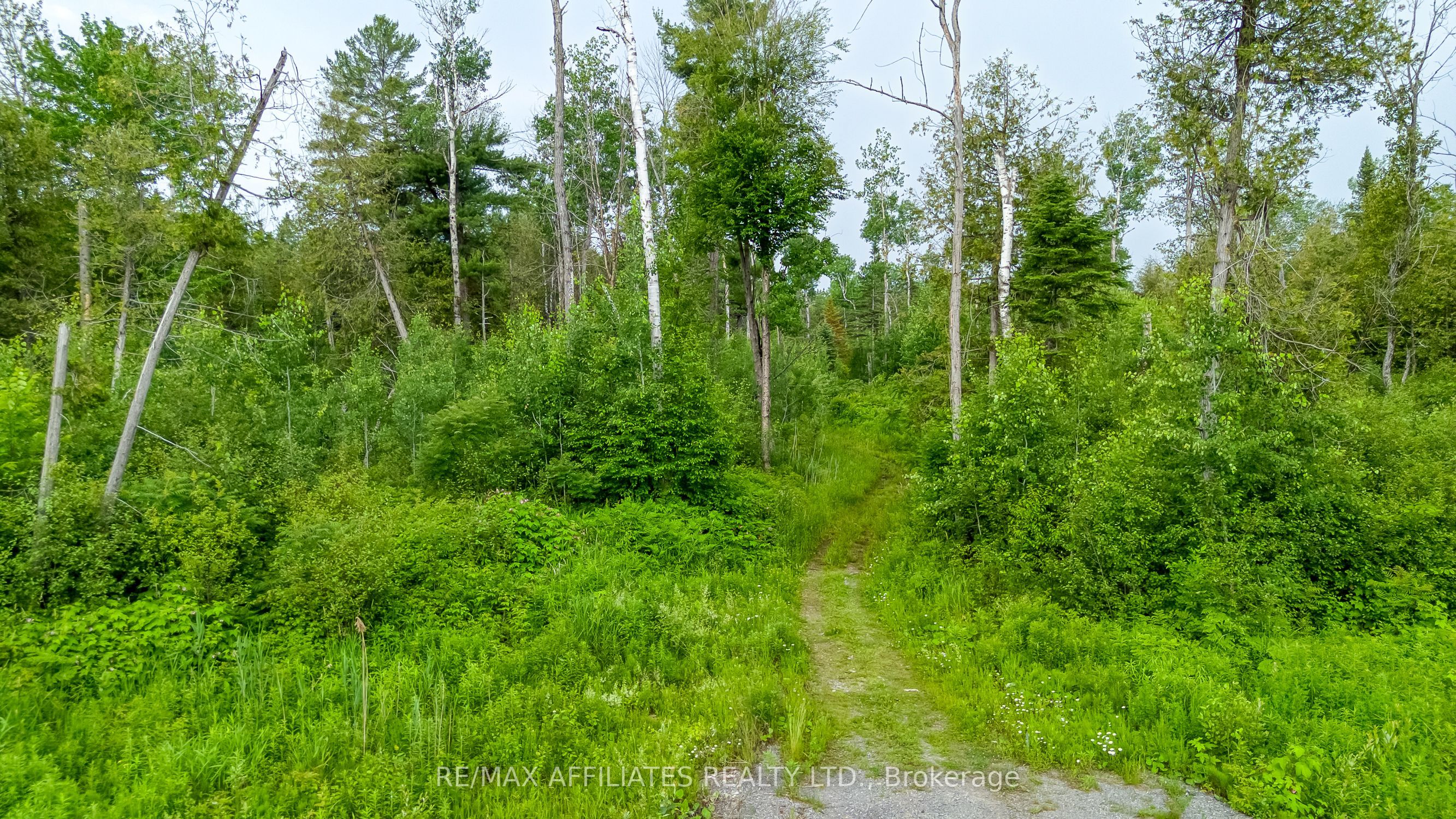 1911 Corkery Road Property Photo 1