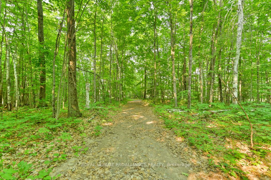 1971 Gull Lake Estates Ln Property Photo 3
