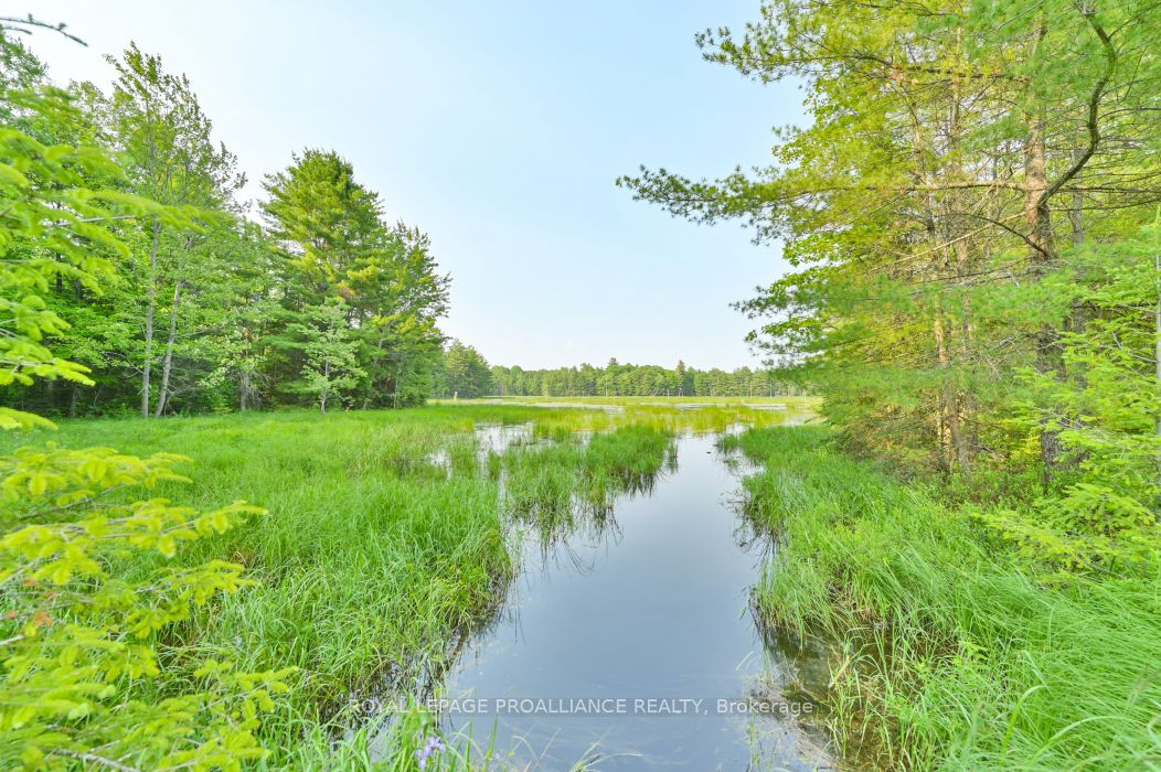 1971 Gull Lake Estates Ln Property Photo 6