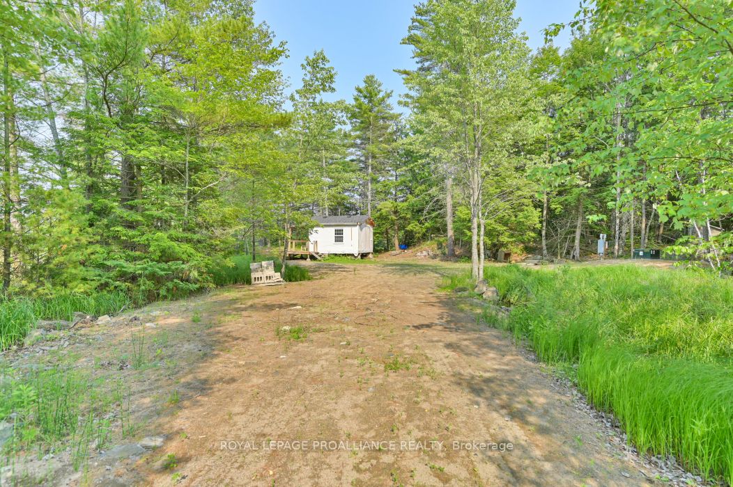 1971 Gull Lake Estates Ln Property Photo 7