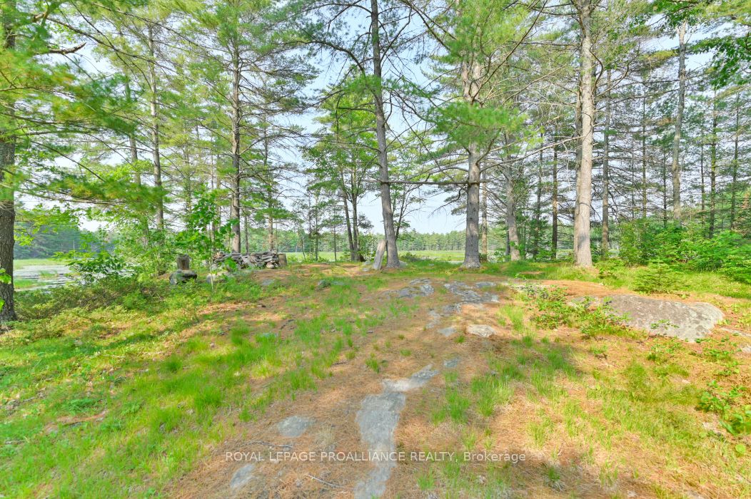 1971 Gull Lake Estates Ln Property Photo 12