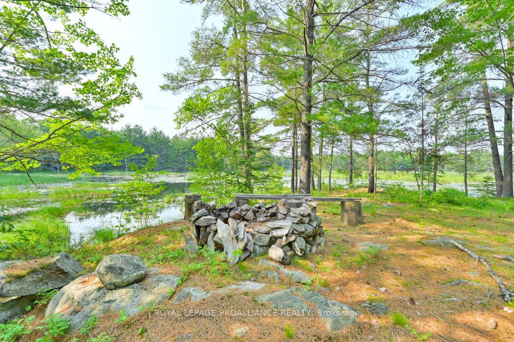 1971 Gull Lake Estates Ln Property Photo 13