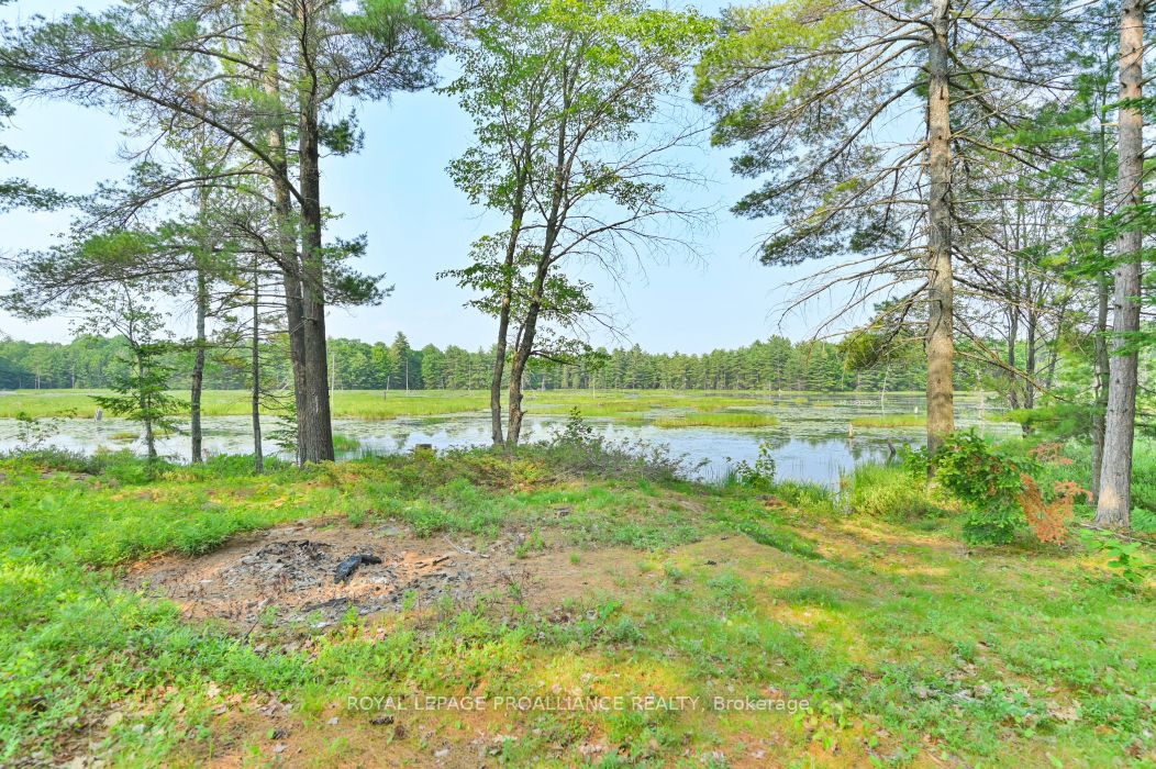 1971 Gull Lake Estates Ln Property Photo 15
