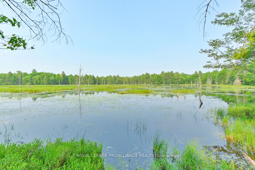 1971 Gull Lake Estates Ln Property Photo 17
