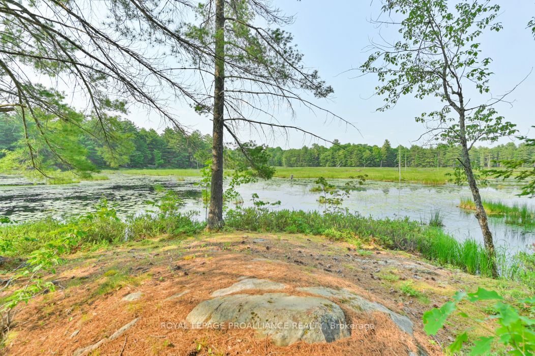1971 Gull Lake Estates Ln Property Photo 18