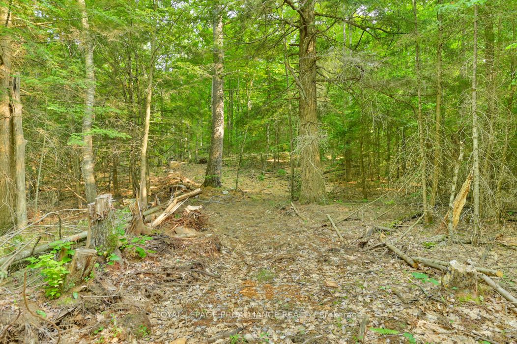 1971 Gull Lake Estates Ln Property Photo 22