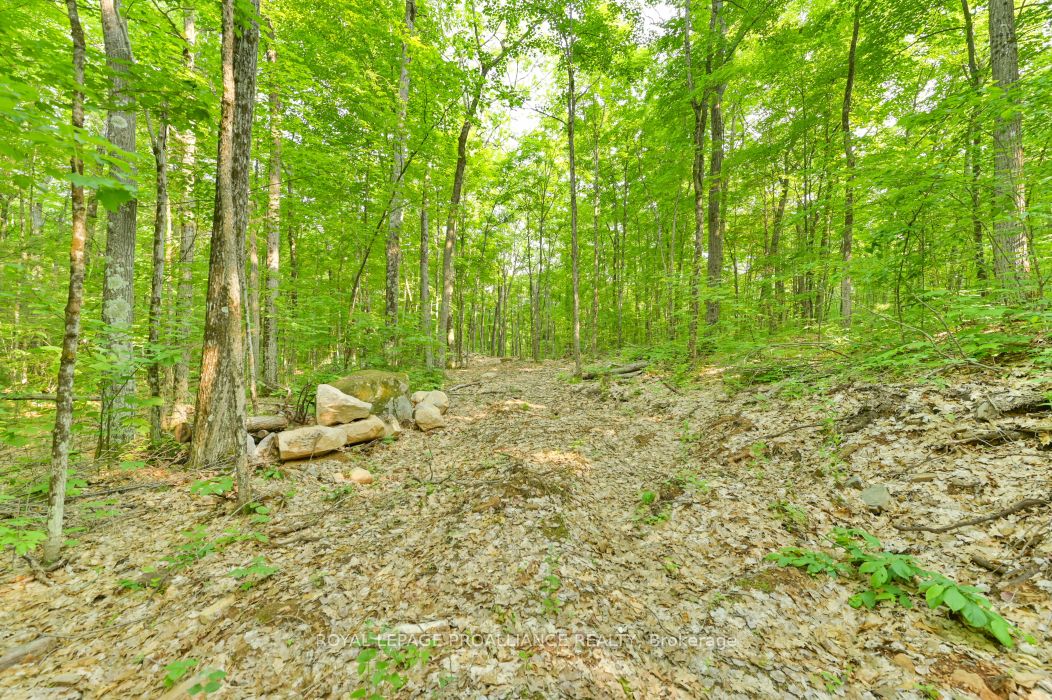 1971 Gull Lake Estates Ln Property Photo 24