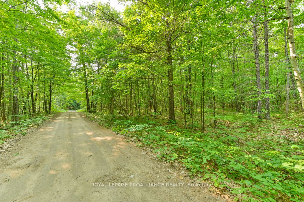 1971 Gull Lake Estates Ln Property Photo 29