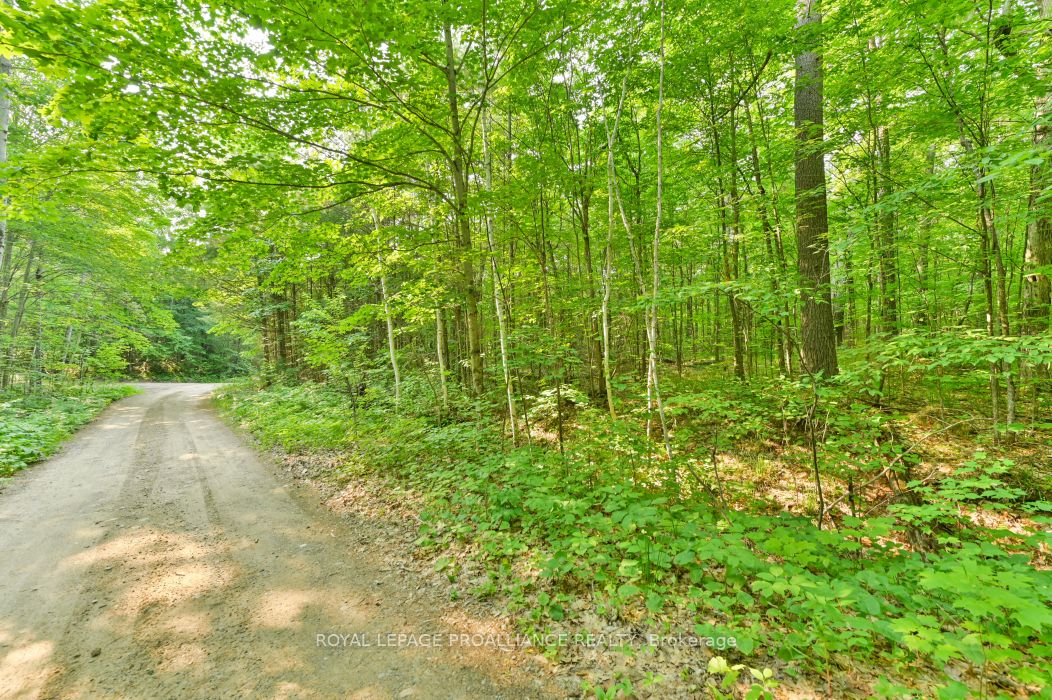 1971 Gull Lake Estates Ln Property Photo 30