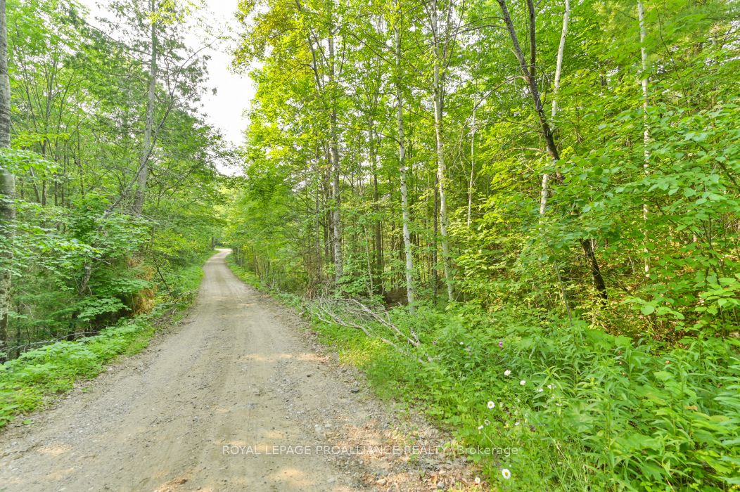 1971 Gull Lake Estates Ln Property Photo 31