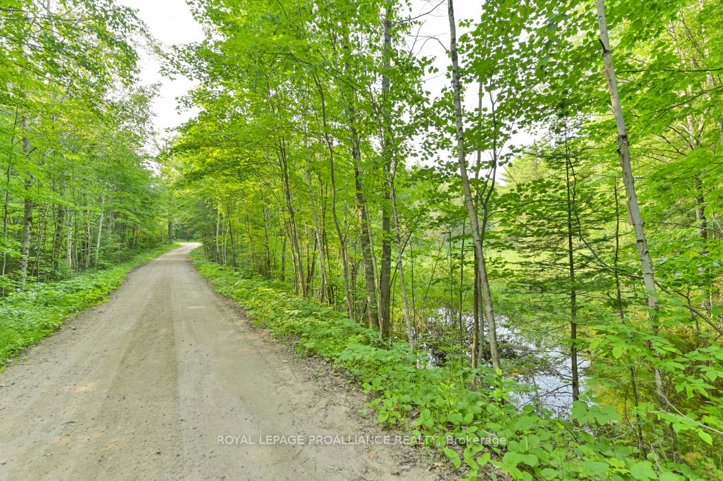 1971 Gull Lake Estates Ln Property Photo 32