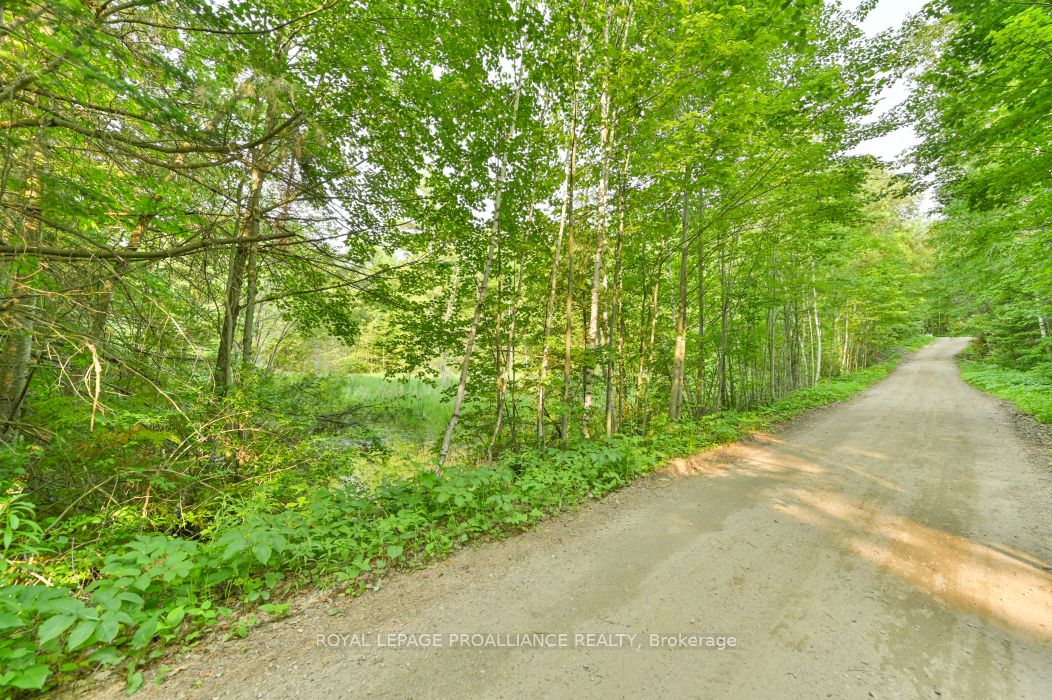 1971 Gull Lake Estates Ln Property Photo 33