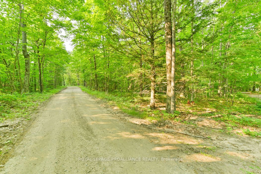 1971 Gull Lake Estates Ln Property Photo 35