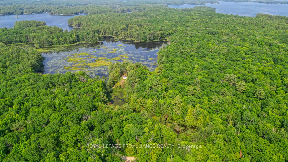 1971 Gull Lake Estates Ln Property Photo 36