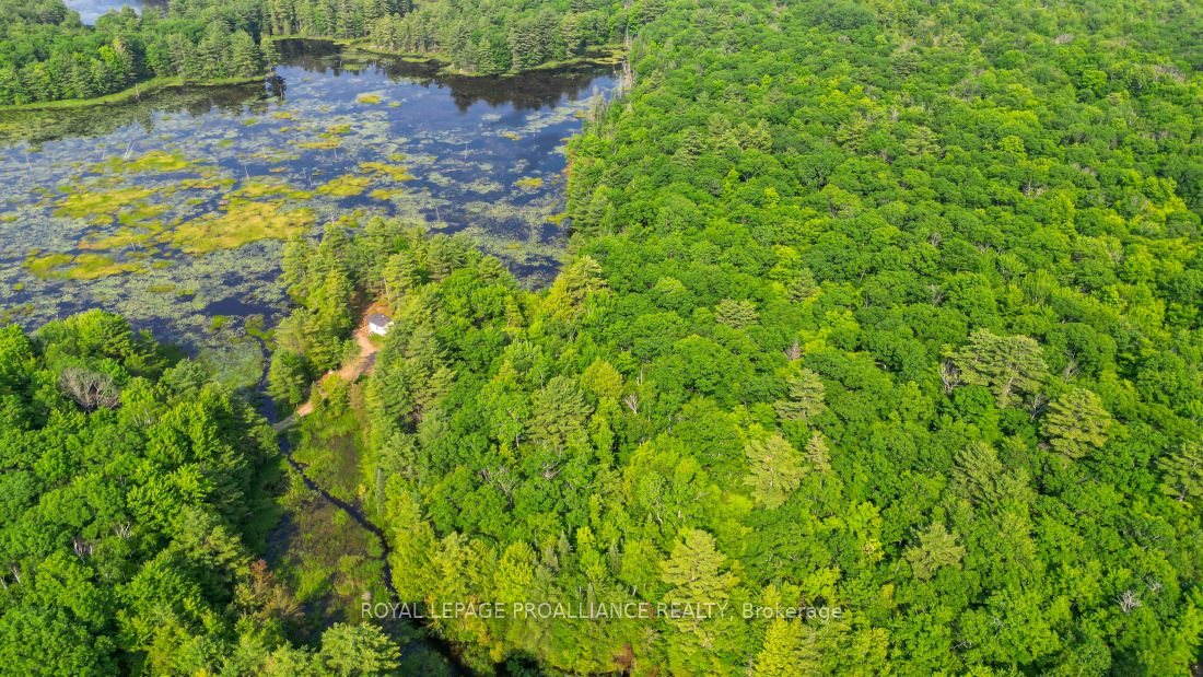 1971 Gull Lake Estates Ln Property Photo 37