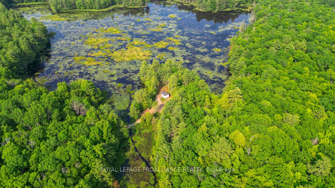 1971 Gull Lake Estates Ln Property Photo 38