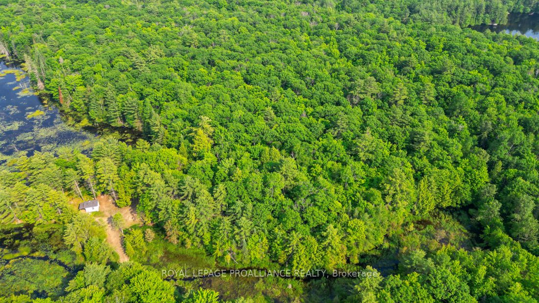 1971 Gull Lake Estates Ln Property Photo 40