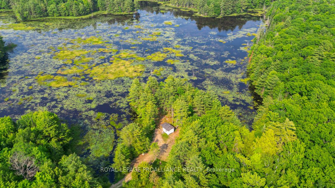 1971 Gull Lake Estates Ln Property Photo 43