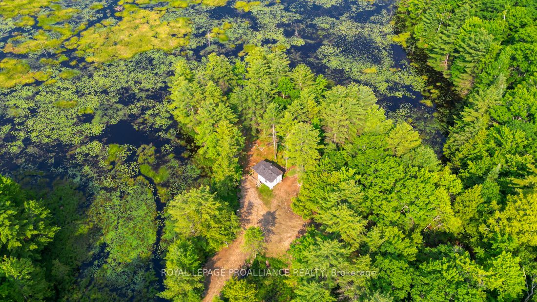 1971 Gull Lake Estates Ln Property Photo 44