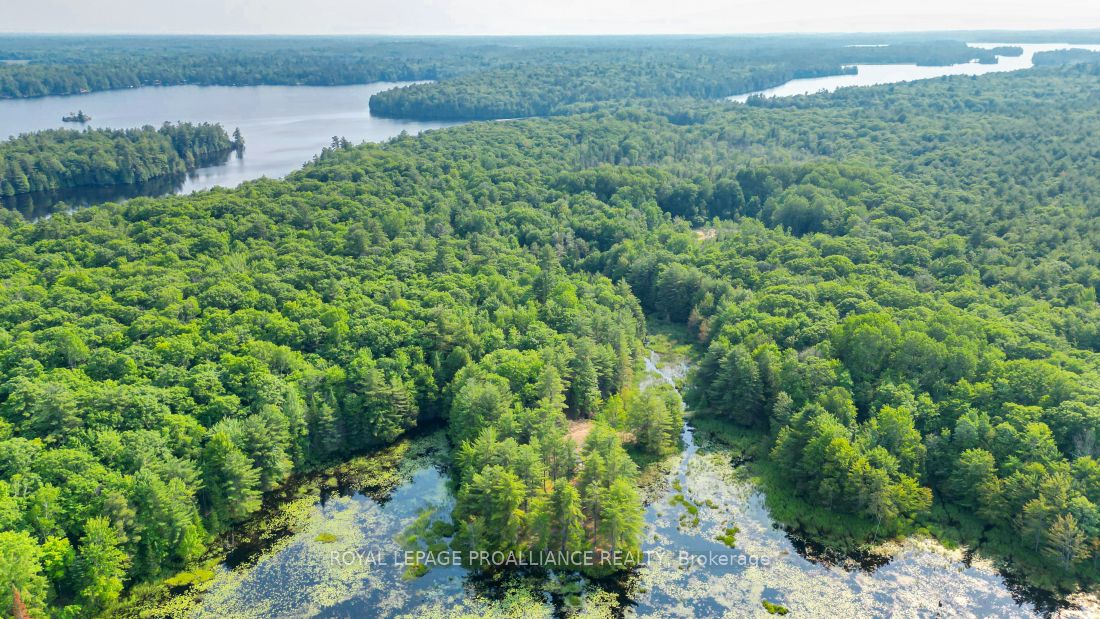 1971 Gull Lake Estates Ln Property Photo 48
