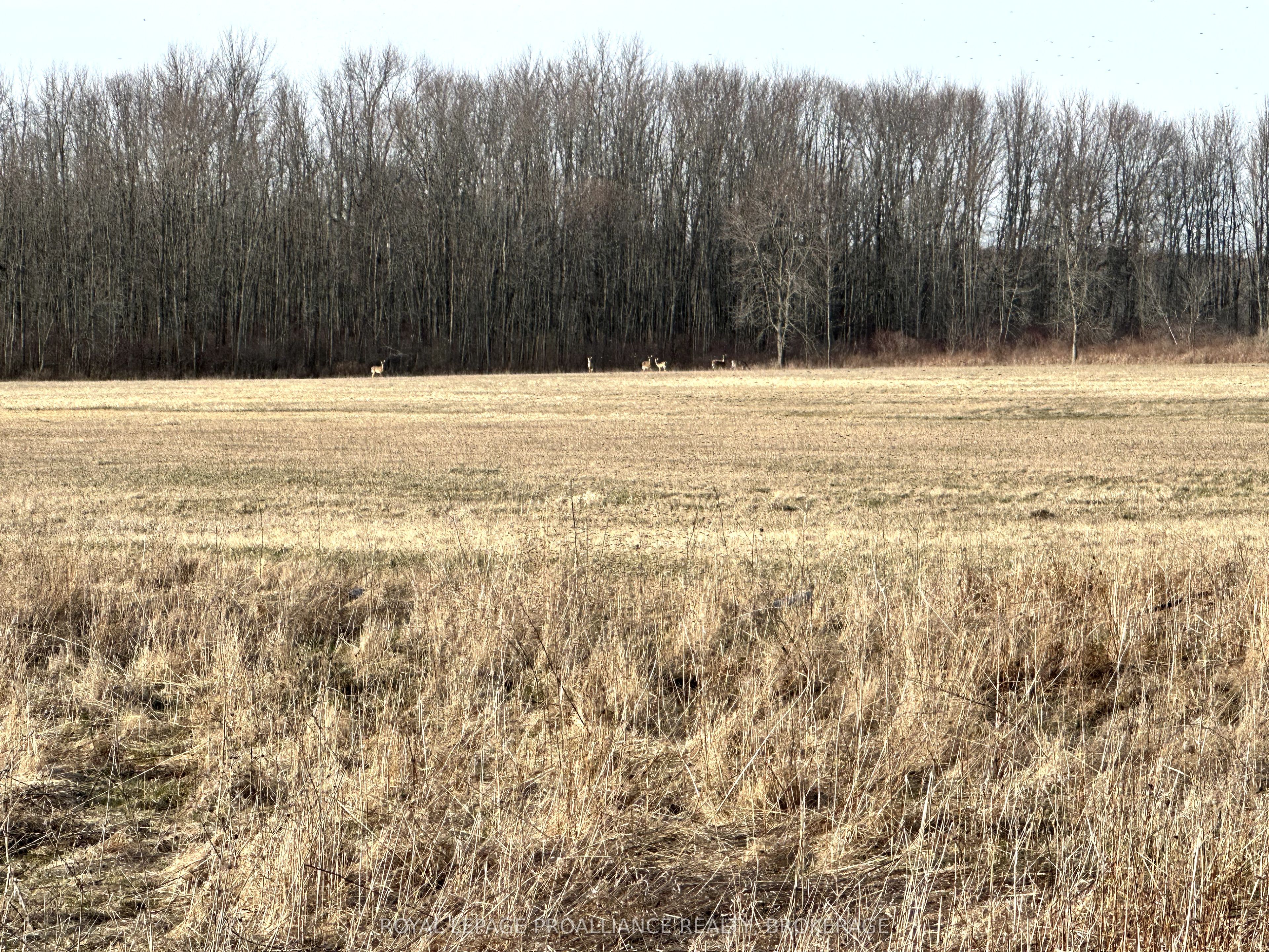 68 3rd Concession Rd Property Photo