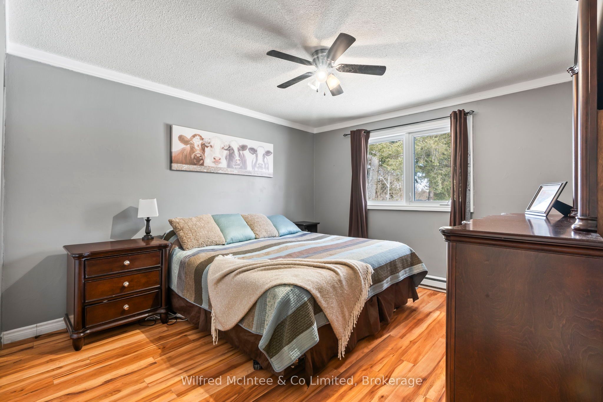 558 Queen Street Property Photo 21
