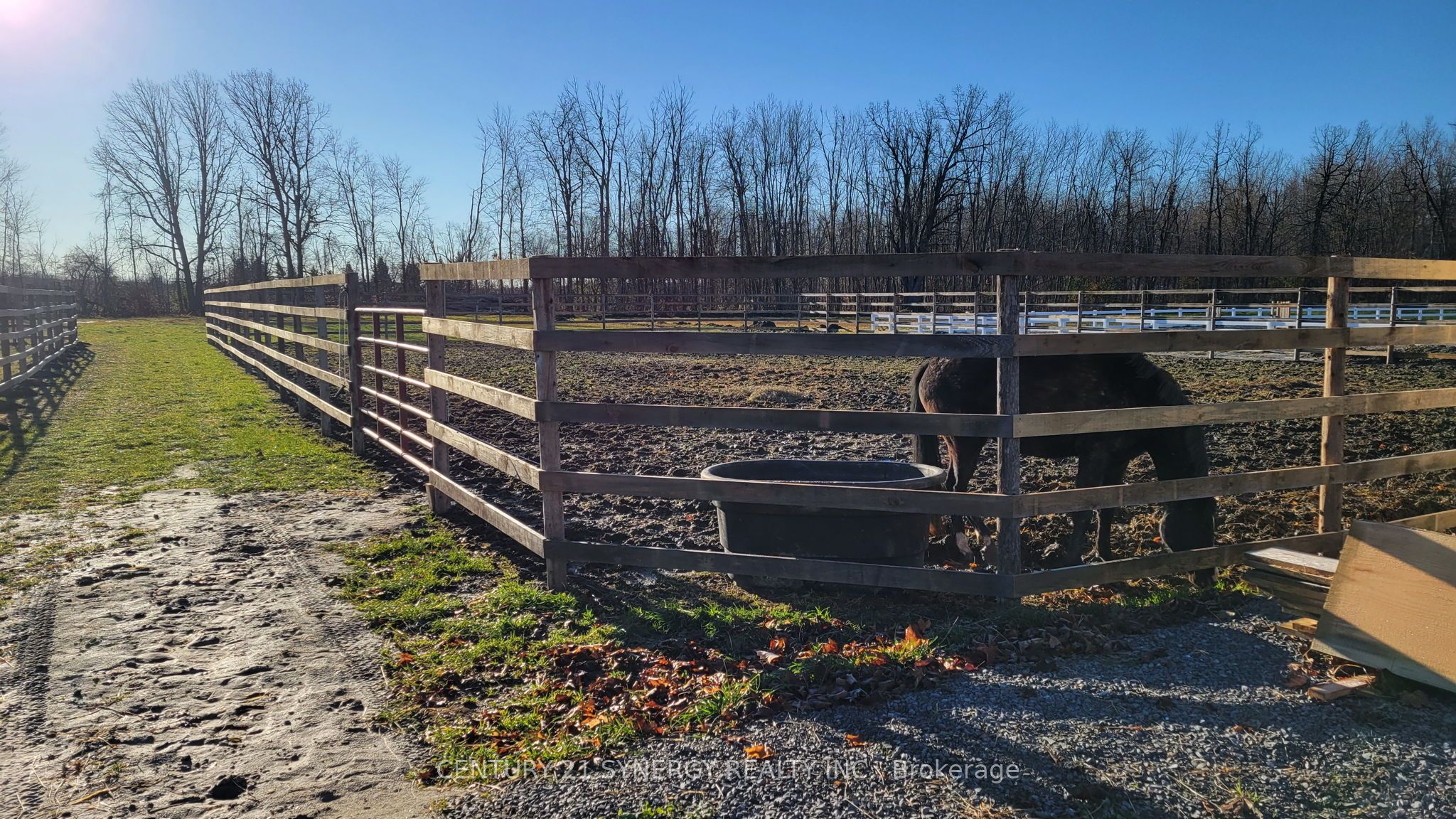 6387 Third Line Road Property Photo 41