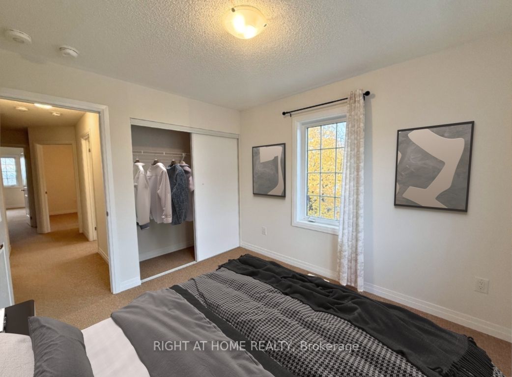 4085 Fracchioni Drive Property Photo 16